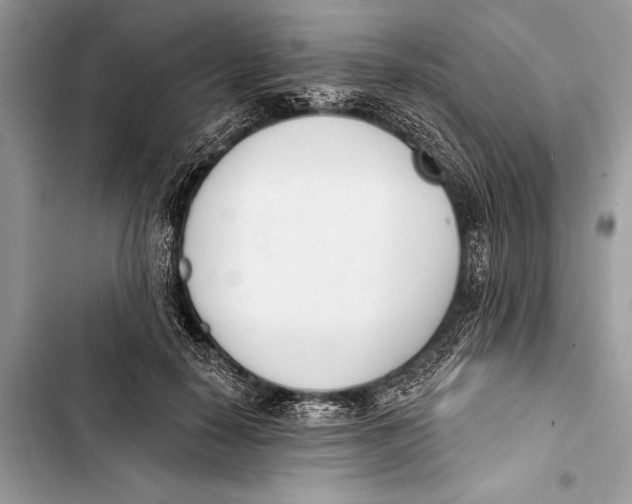 X0000103470650200810031521