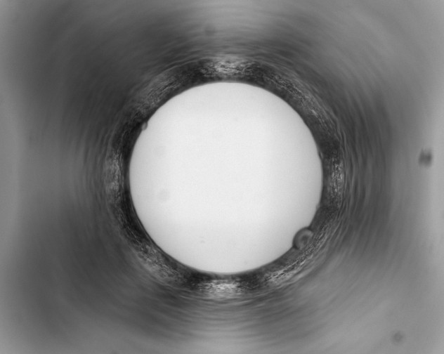 X0000103470651200810031521