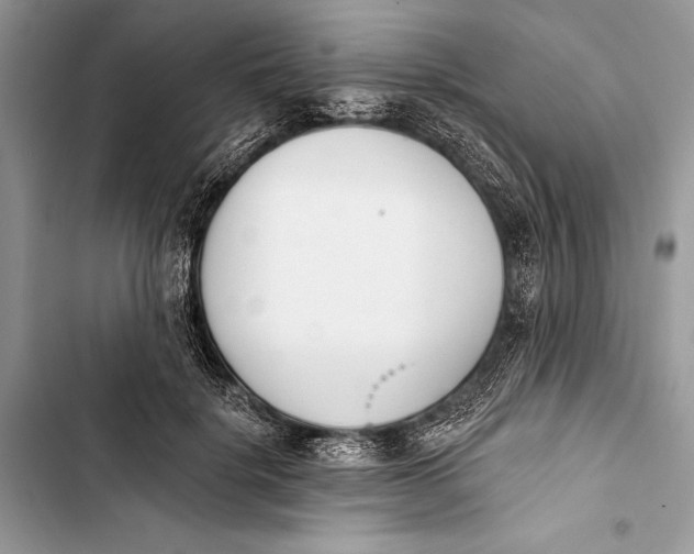 X0000103470652200810031521