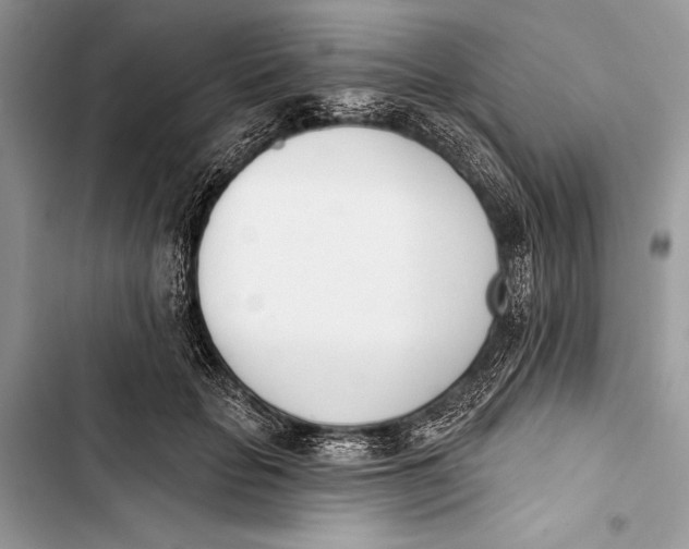 X0000103470653200810031521