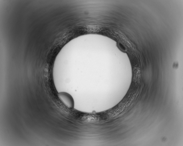 X0000103470655200810031521