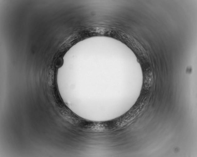 X0000103470656200810031521