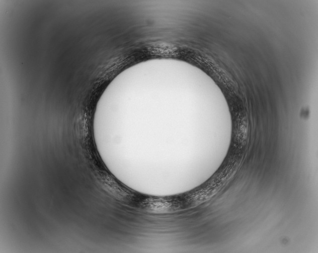 X0000103470658200810031521