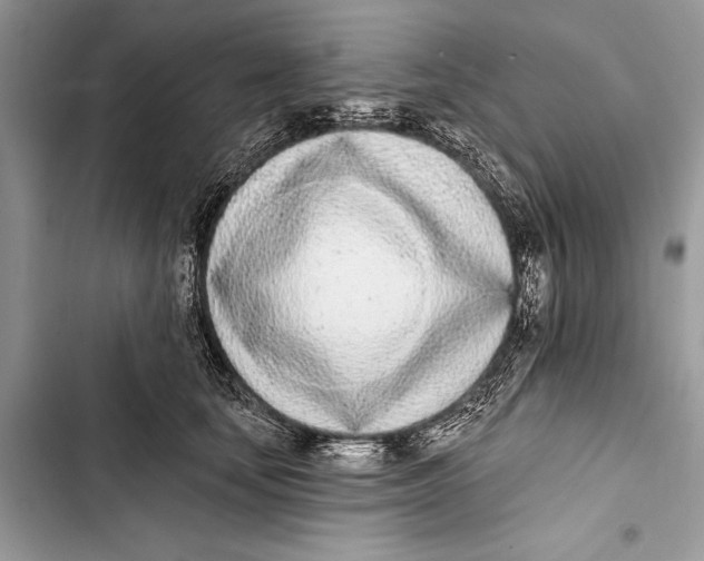 X0000103470659200810031521