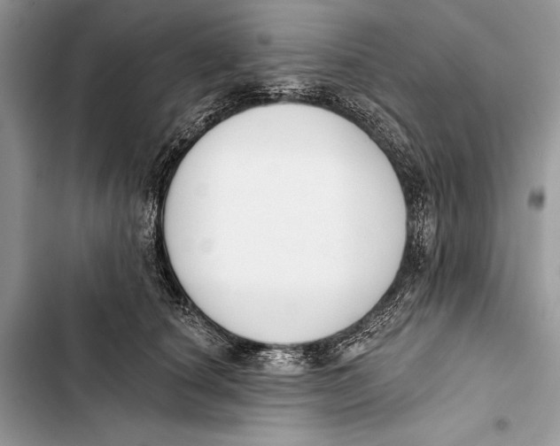 X0000103470660200810031521