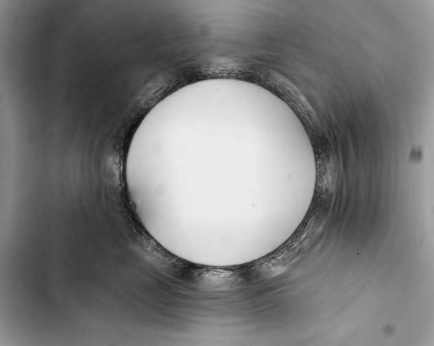 X0000103470669200810031521