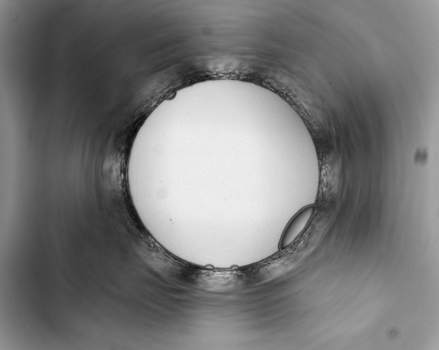 X0000103470671200810031521