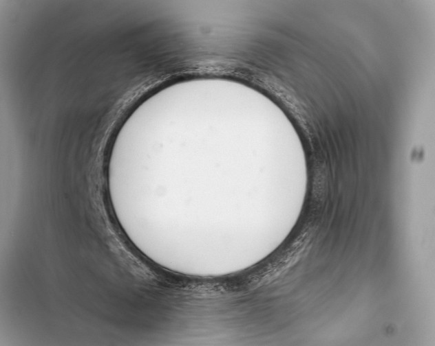 X0000103470673200810031521