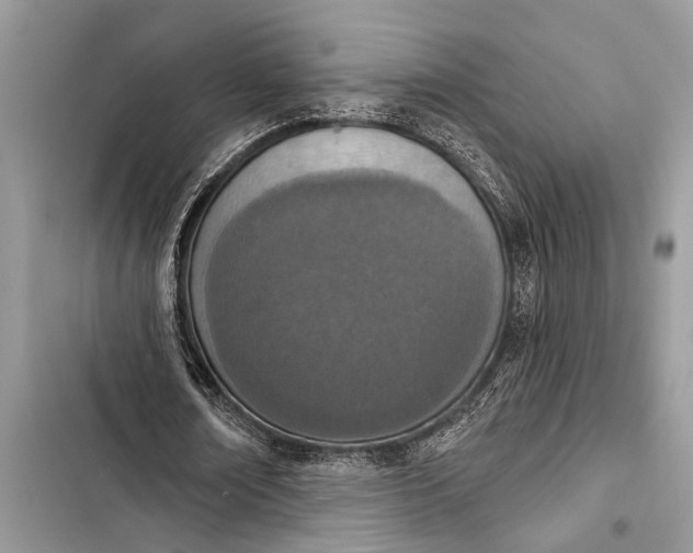 X0000103470674200810031521