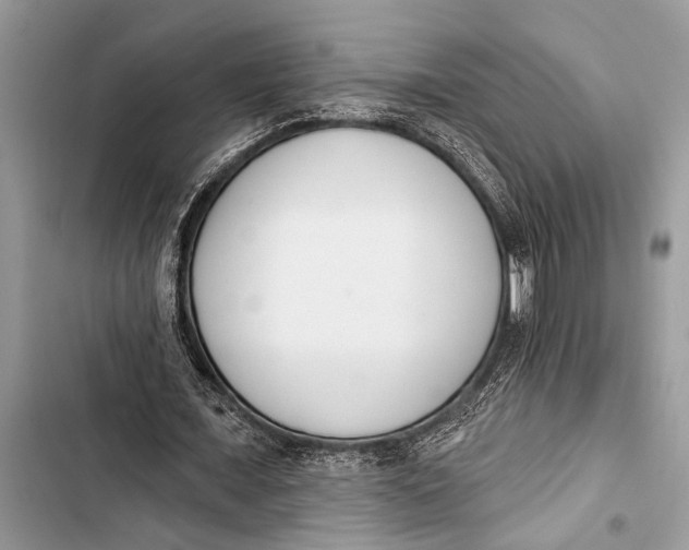 X0000103470675200810031521