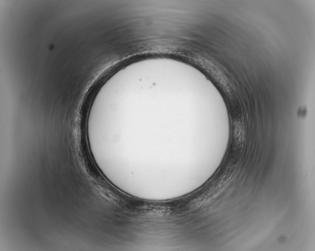 X0000103470676200810031520