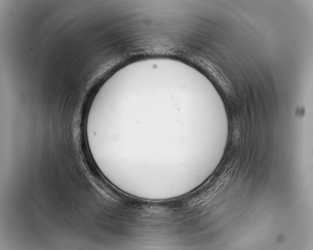 X0000103470677200810031520