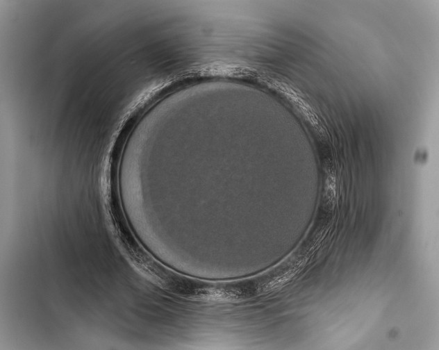 X0000103470678200810031520