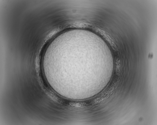 X0000103470679200810031520