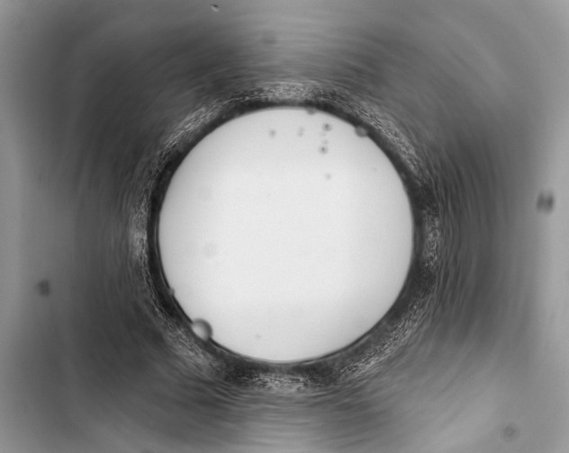 X0000103470681200810031520