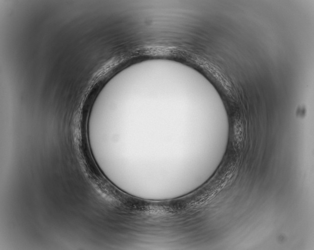 X0000103470682200810031520