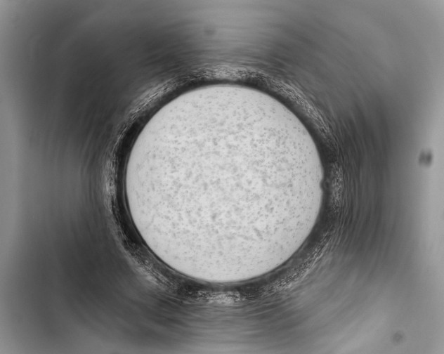 X0000103470683200810031520