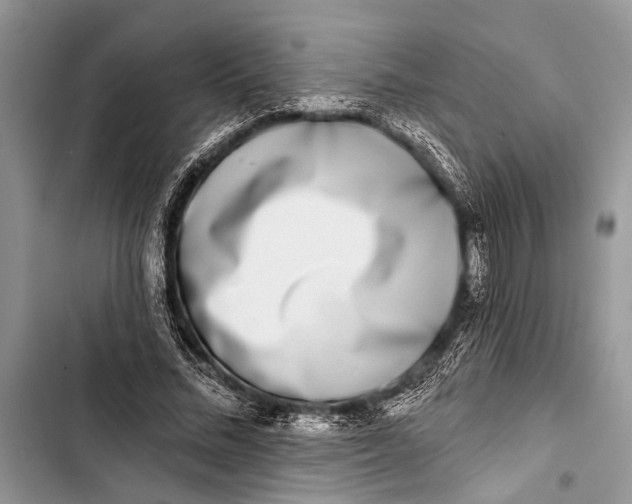 X0000103470684200810031520