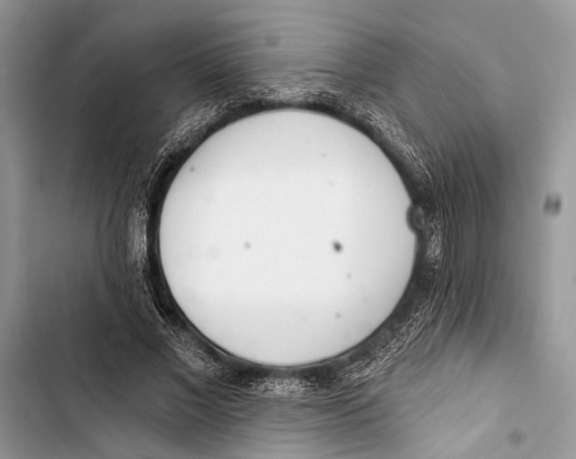 X0000103470685200810031520