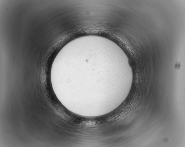 X0000103470687200810031520