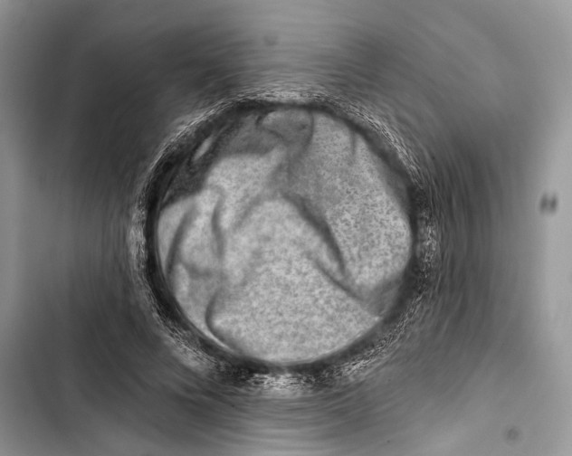 X0000103470688200810031520