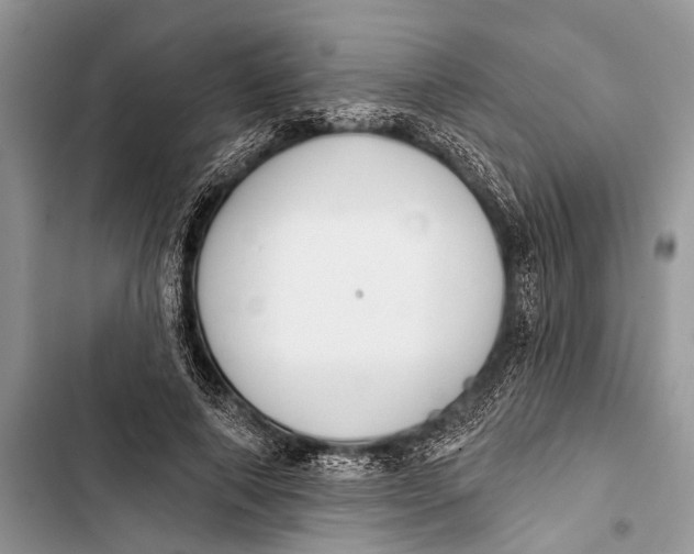 X0000103470690200810031520