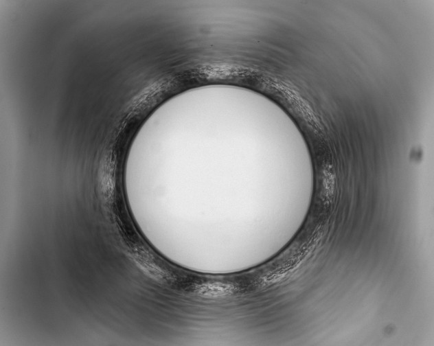 X0000103470691200810031520