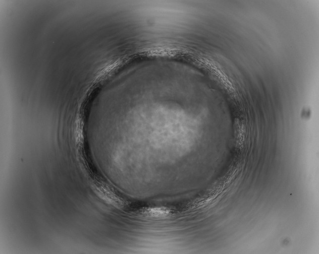 X0000103470692200810031520