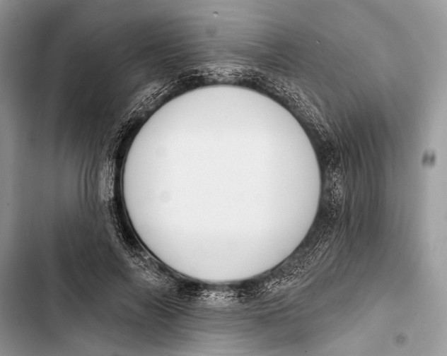 X0000103470694200810031520