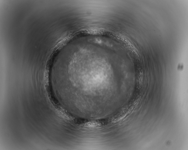 X0000103470696200810031520