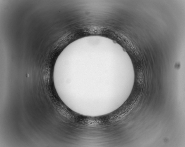 X0000103470697200810031520