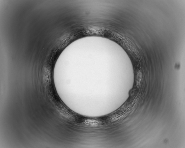 X0000103470699200810031520