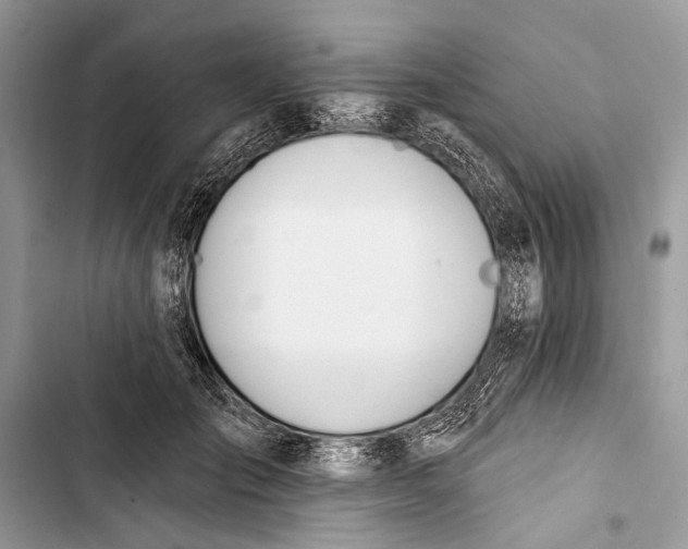 X0000103470701200810031520