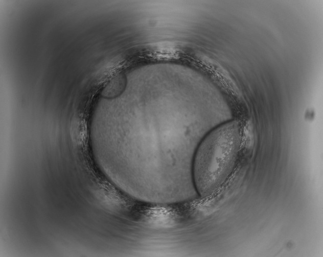 X0000103470704200810031520