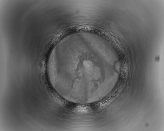 X0000103470708200810031520