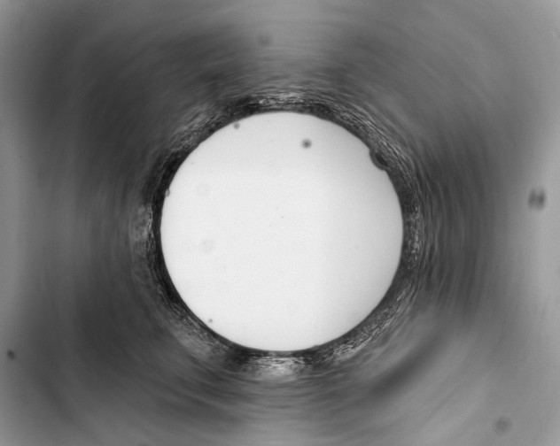 X0000103470711200810031520