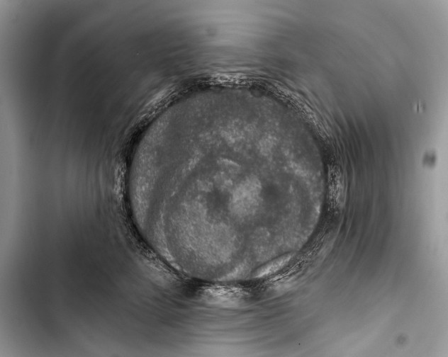 X0000103470712200810031520