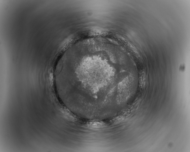 X0000103470716200810031520