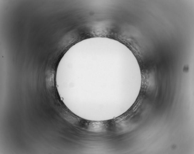 X0000103470717200810031520