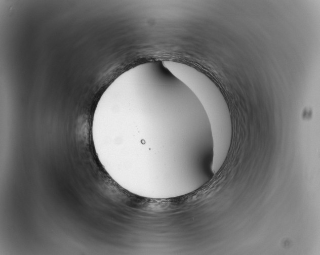 X0000103470720200810031520