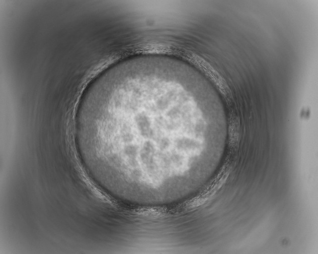 X0000103470721200810031519