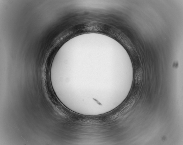 X0000103470722200810031519