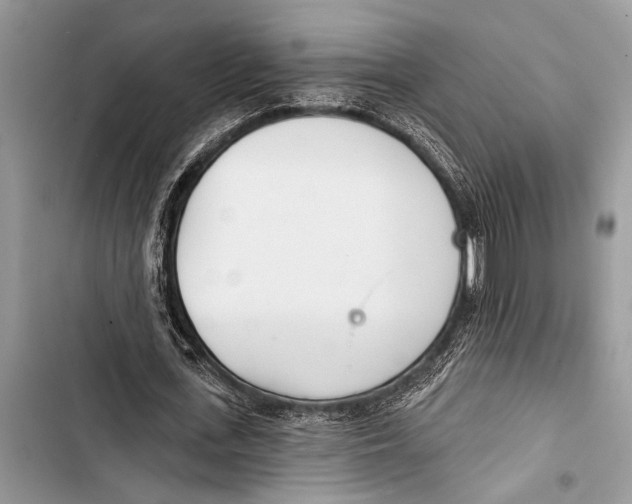 X0000103470723200810031519