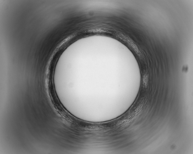 X0000103470724200810031519