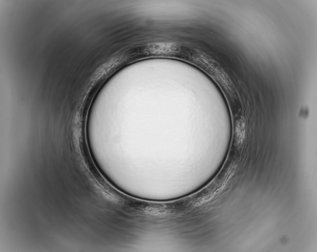 X0000103470725200810031519