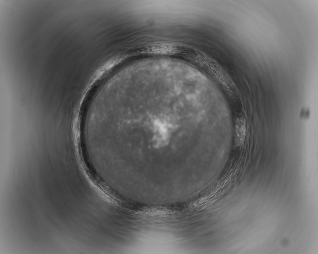 X0000103470726200810031519