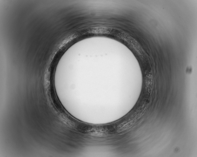 X0000103470727200810031519