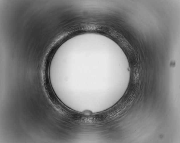 X0000103470728200810031519