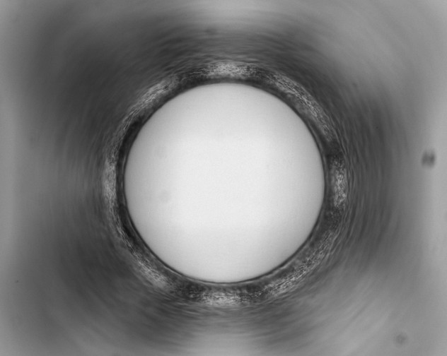 X0000103470729200810031519