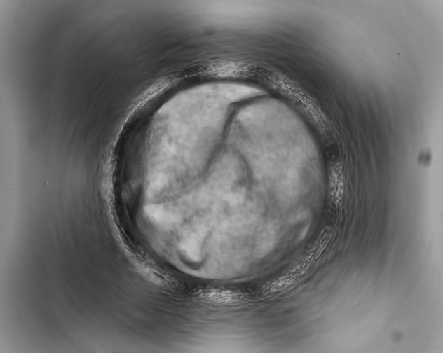 X0000103470730200810031519